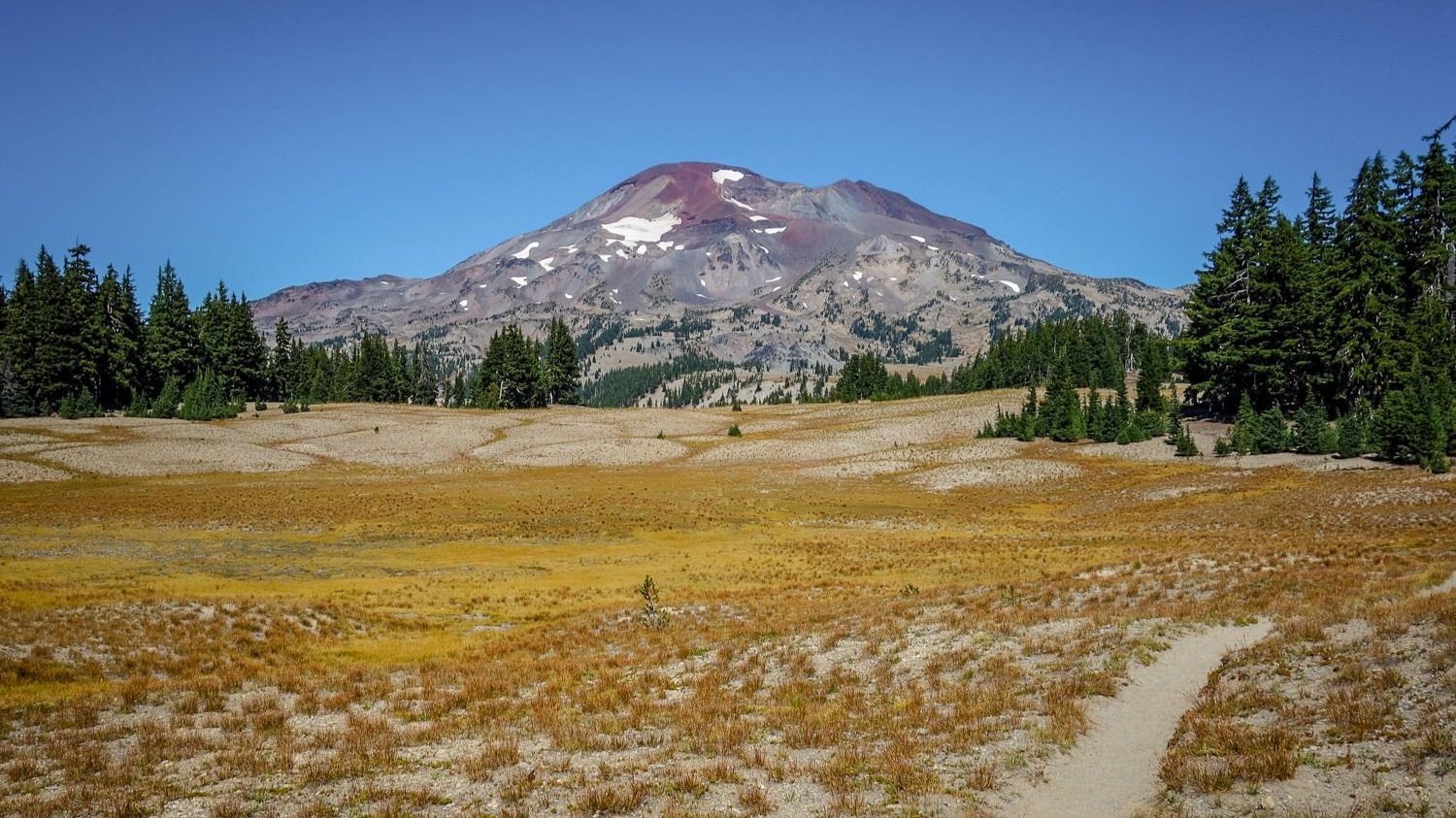 A trail headed through a yellow meadow leading towards one of the Three Sisters Mountains