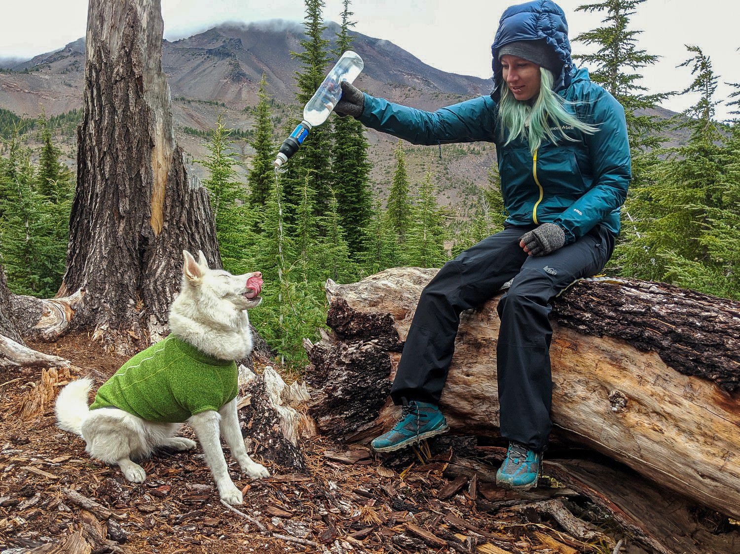 A hiker giving a dog water with her Sawyer Squeeze Water Filter