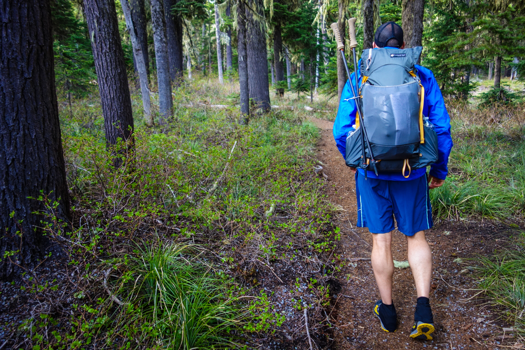 oregon forest trekking