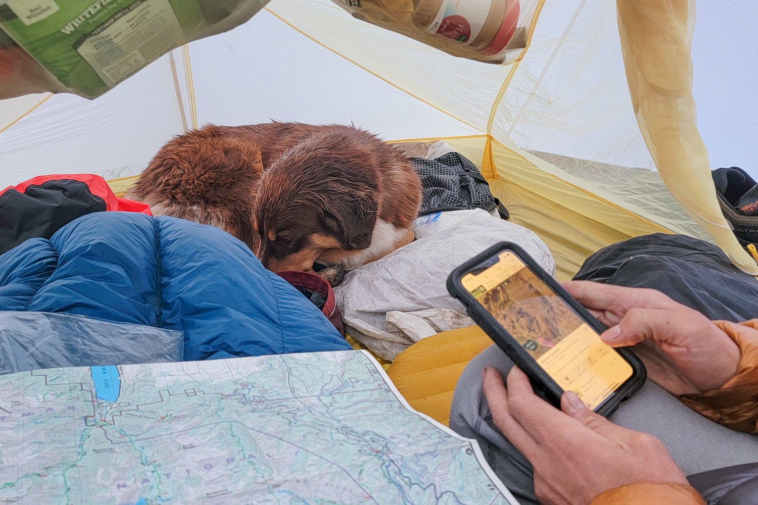 Hikers using a map and a GPS phone app to navigate on the Timberline Trail