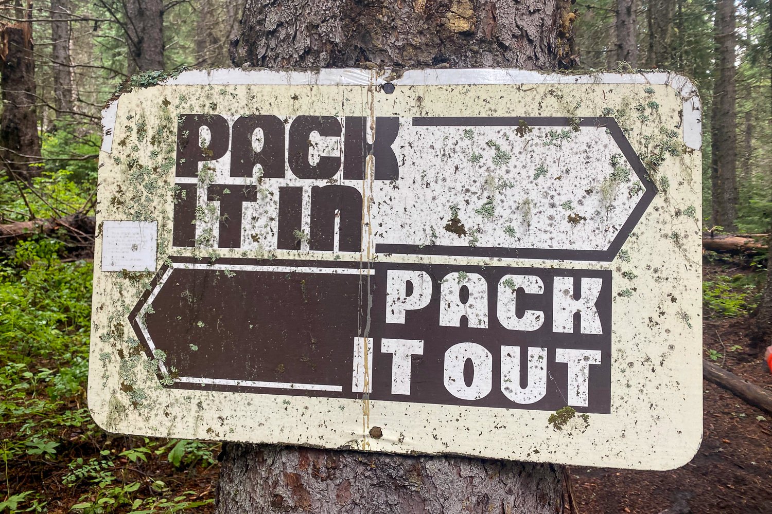 A Pack It In Pack It Out sign on a tree