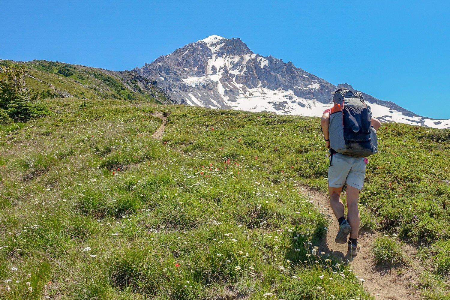 A backpacker hiking towards Mt. Hood during the summer.