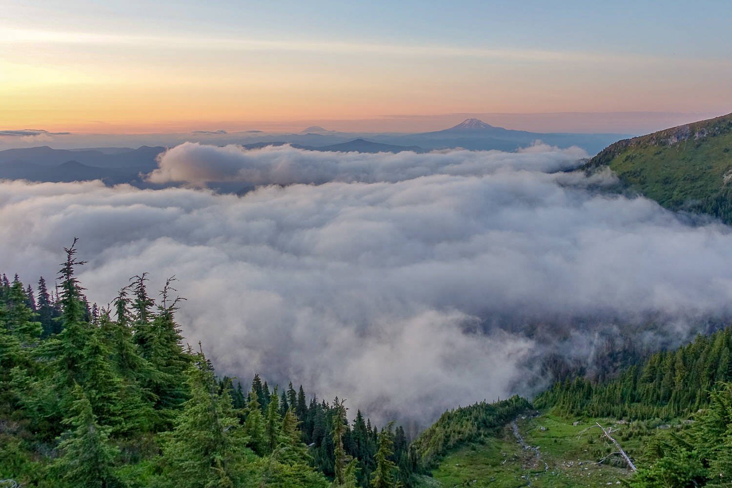 Looking down over a bank of clouds from the Timberline Trail.