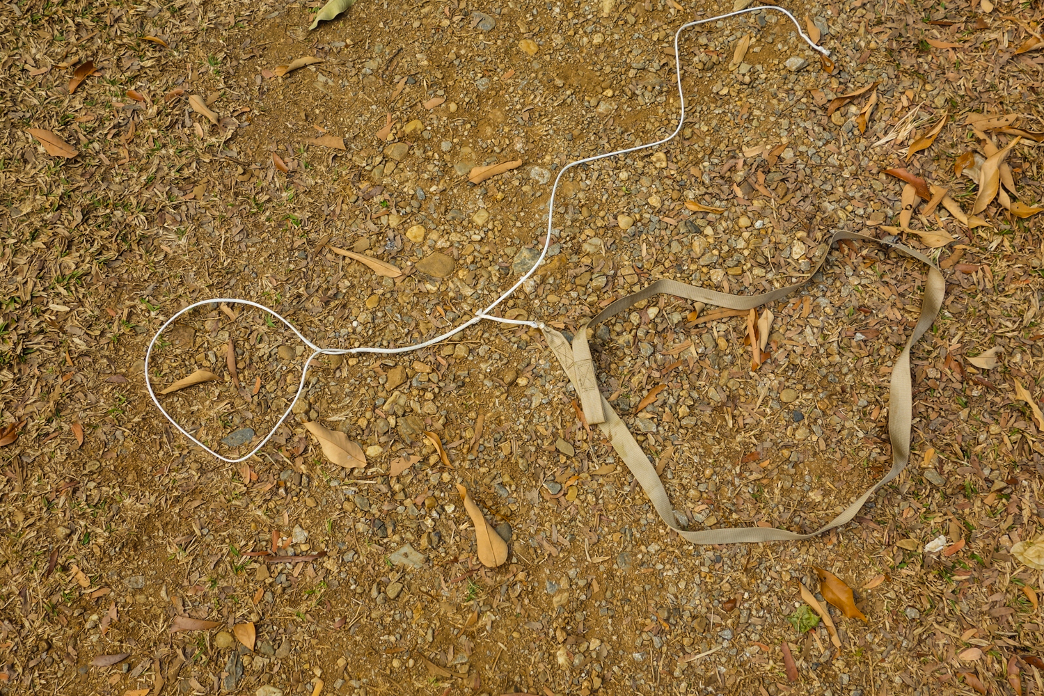 Hummingbird Single Hammock & Tree Straps Review CleverHiker