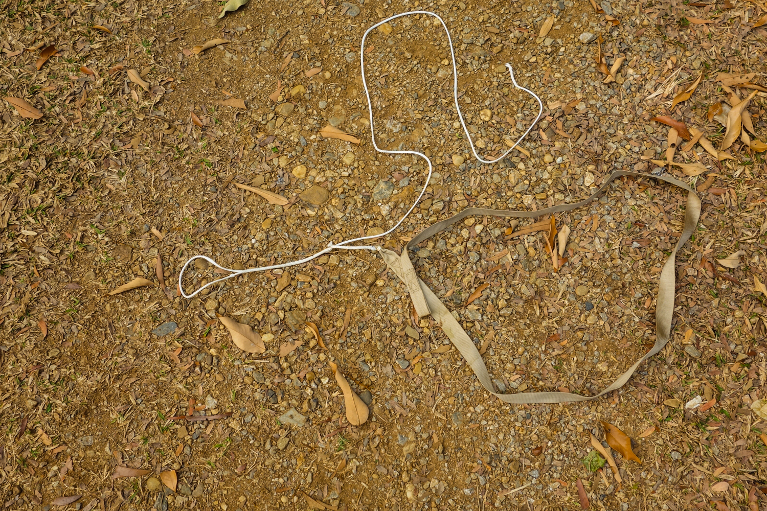 Hummingbird Single Hammock & Tree Straps Review CleverHiker