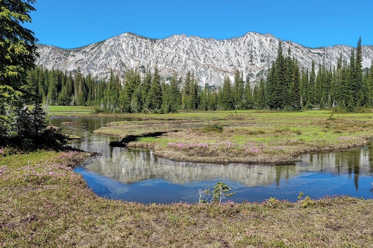 The Wallowas Mountains reflecting in the outlet of a high-alpine lake.