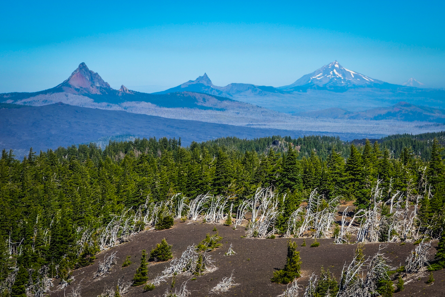Pacific northwest backpacking trips sale