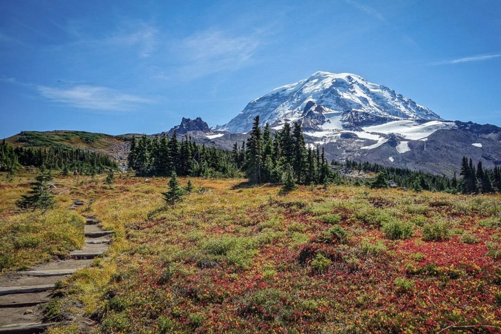 A colorful meadow is in the foreground with a snow-capped peak in the background.