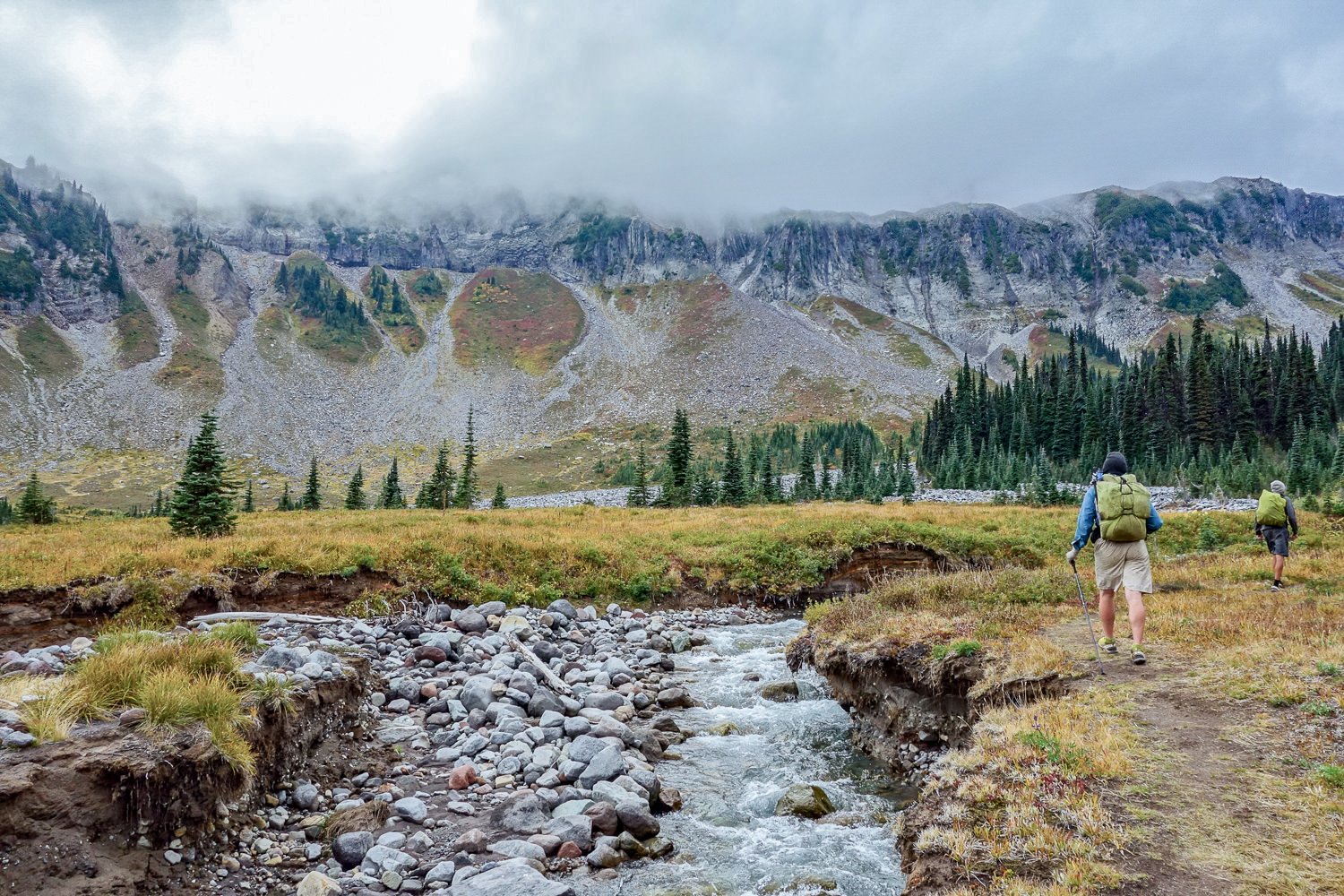 northwest trek winter wonderland