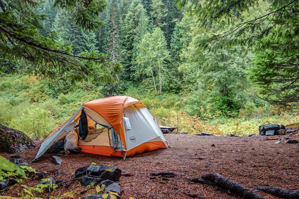 An orange tent is pitched in a bright green forest on a bed of pine needles.