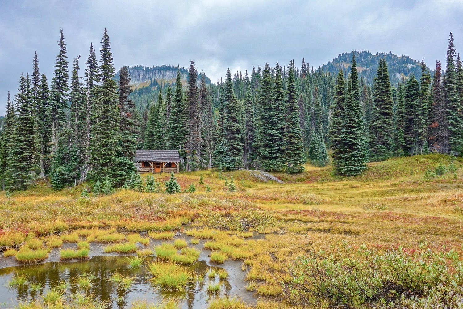 A rustic cabin in front of a boggy meadow on the Wonderland Trail.