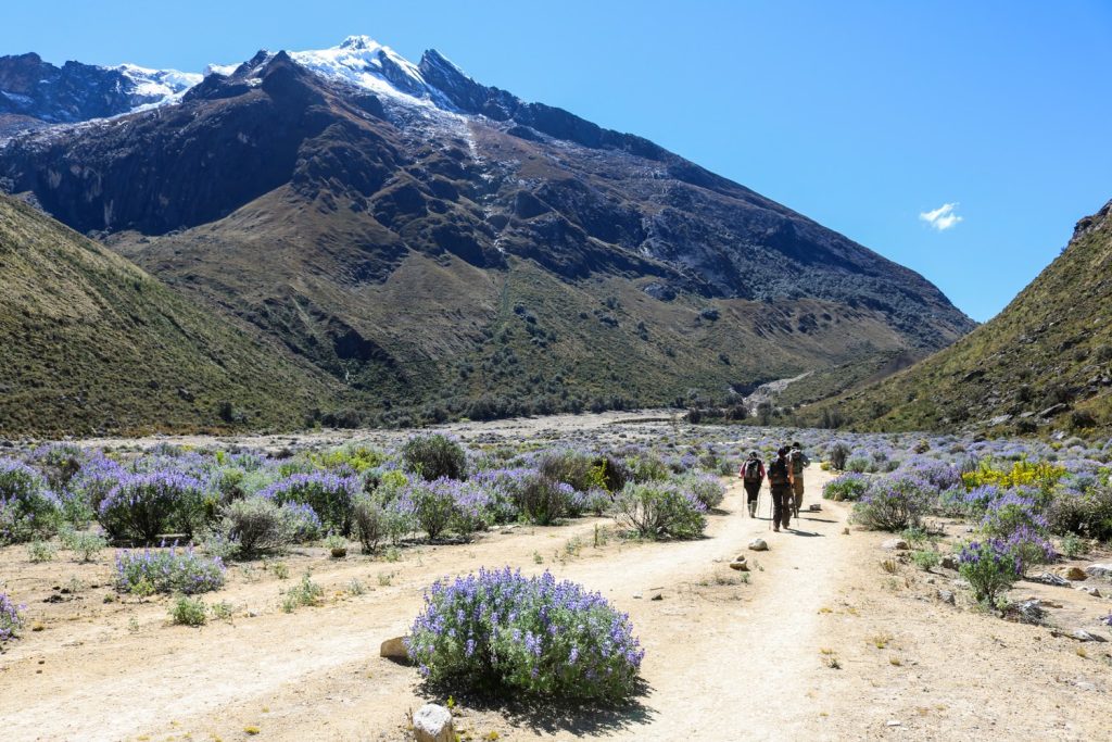 trek peru cordillera blanca