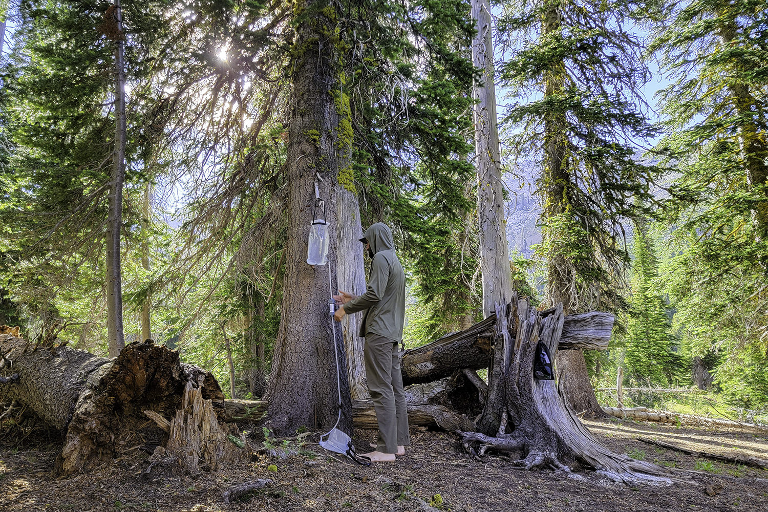 A backpacker using the Platypus GravityWorks water filter in a forested campsite