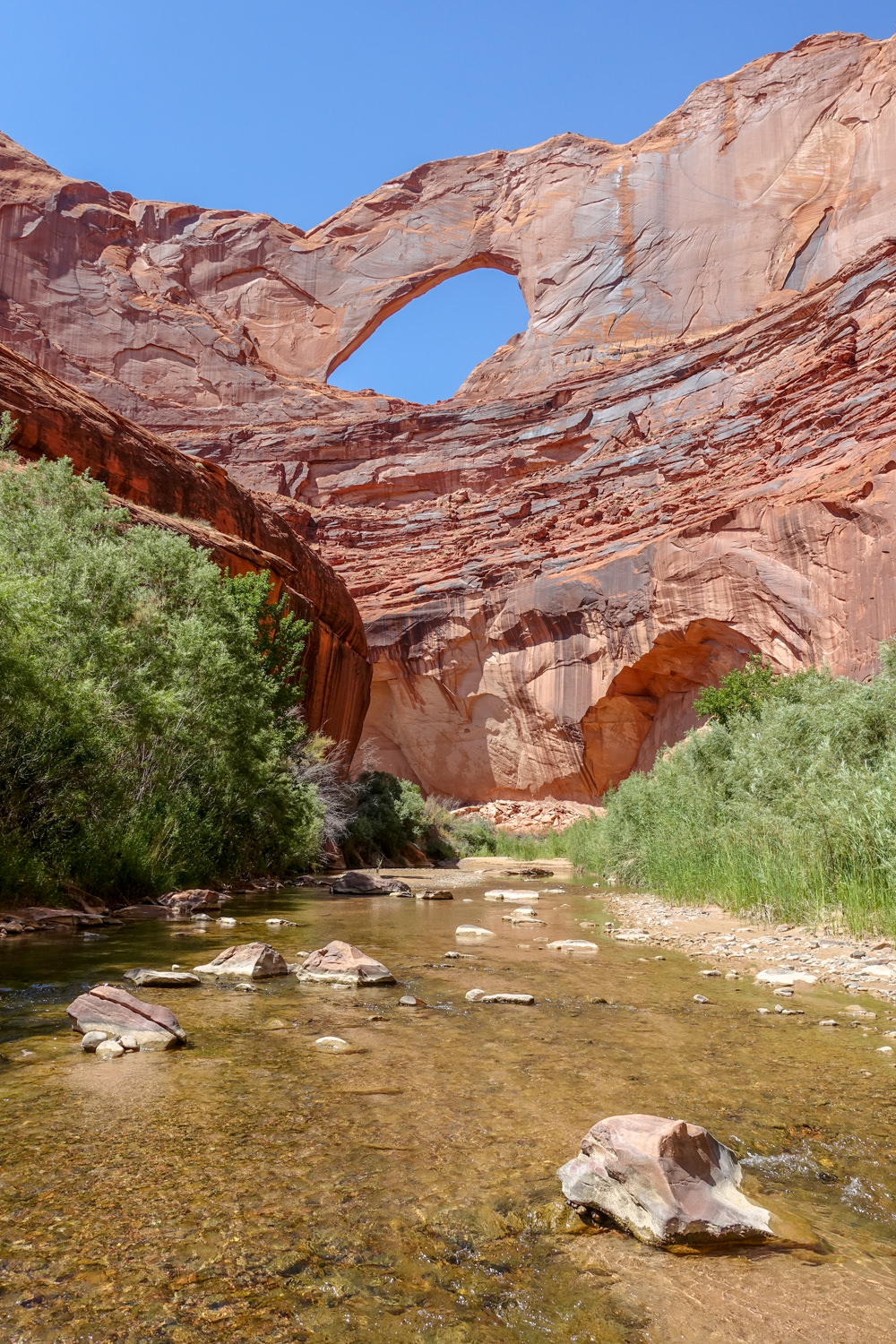Coyote top gulch camping