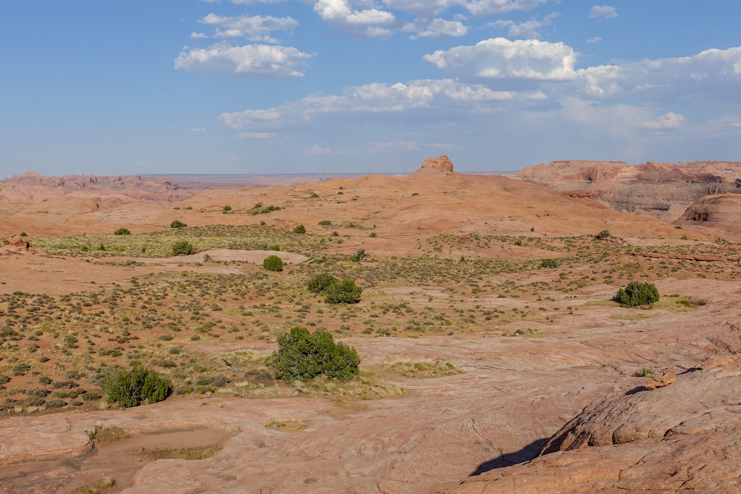 This high point can serve as a navigation feature after you leave the cliffs (read above)