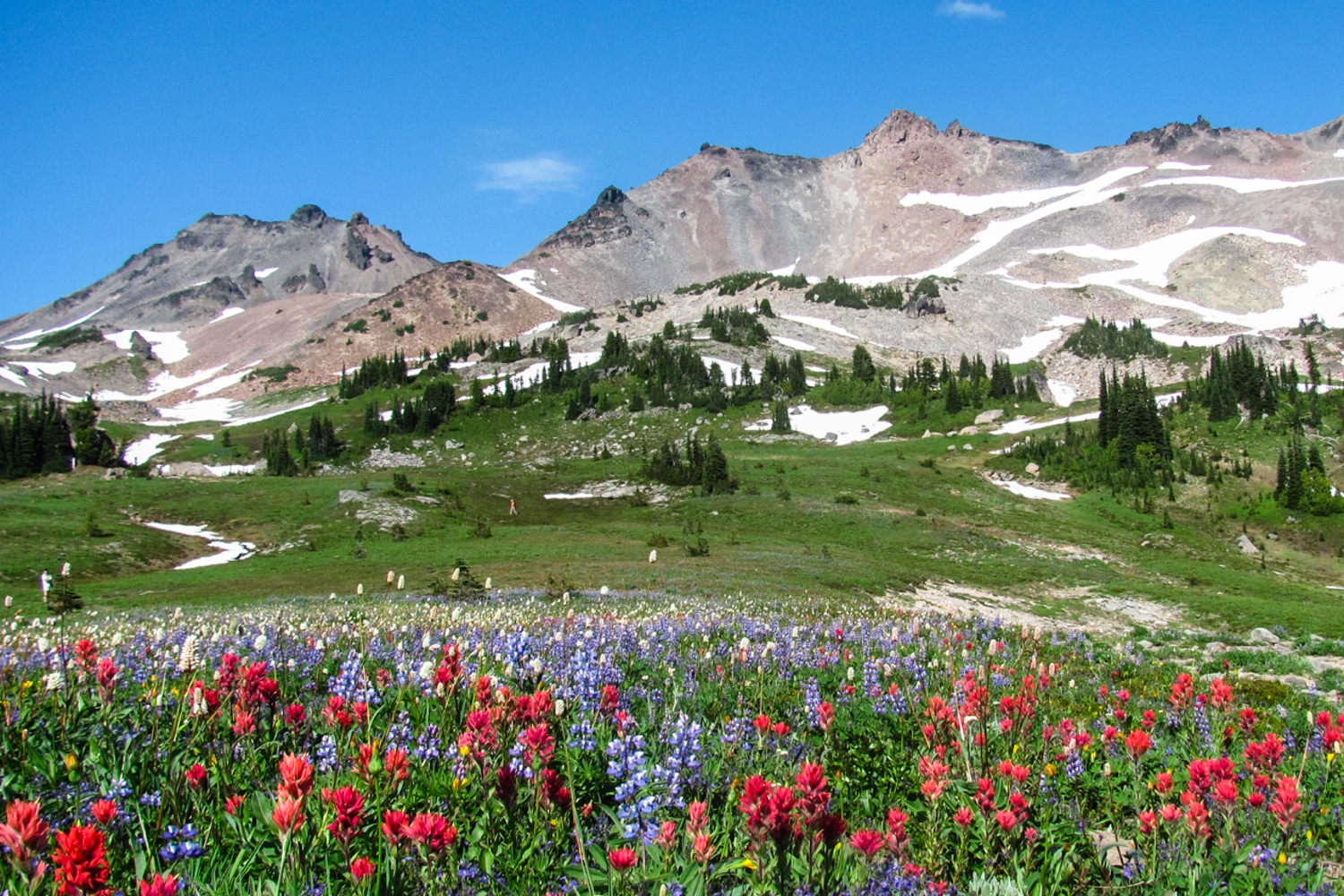 backpacking trip western wa