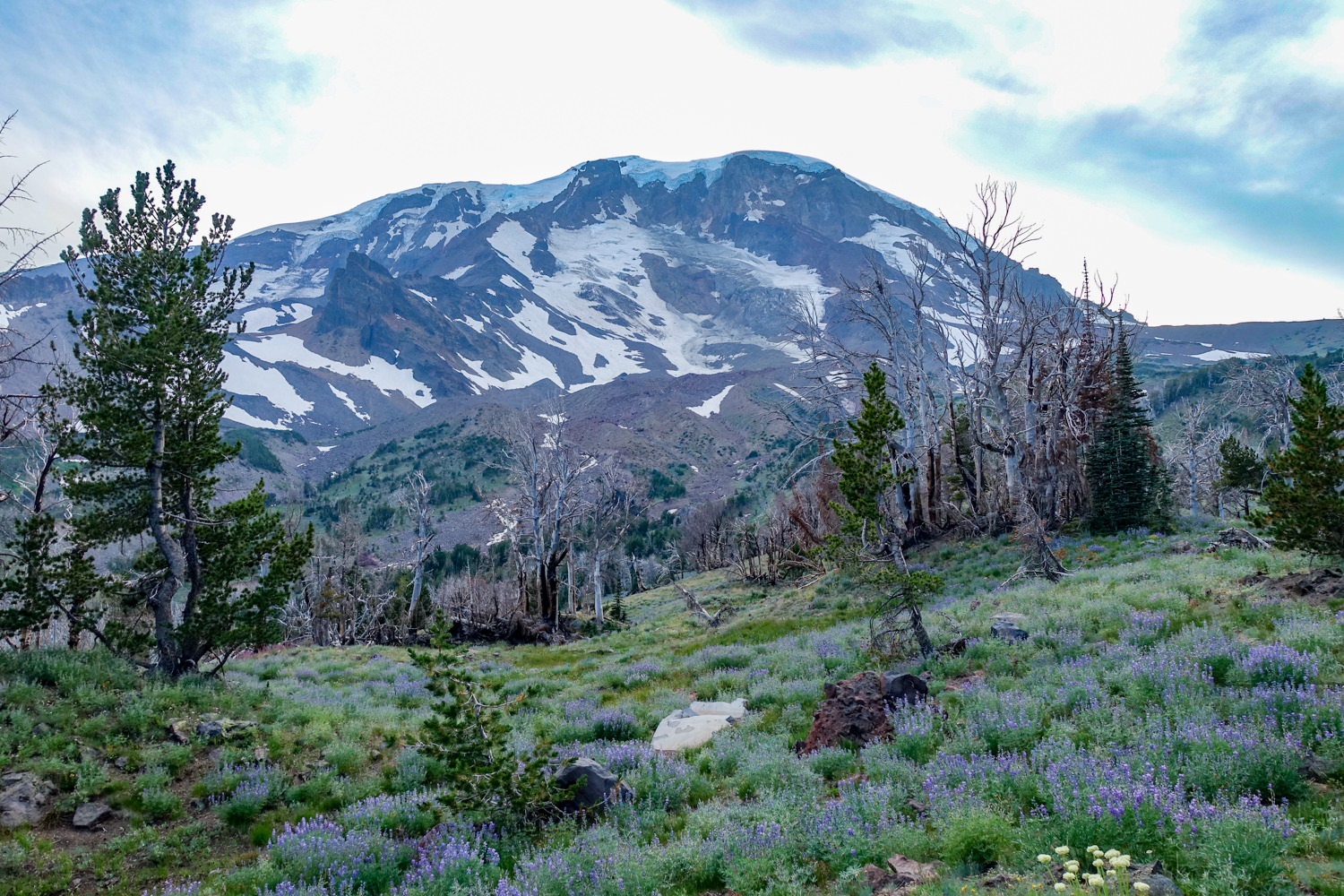 Mt best sale adams backpacking