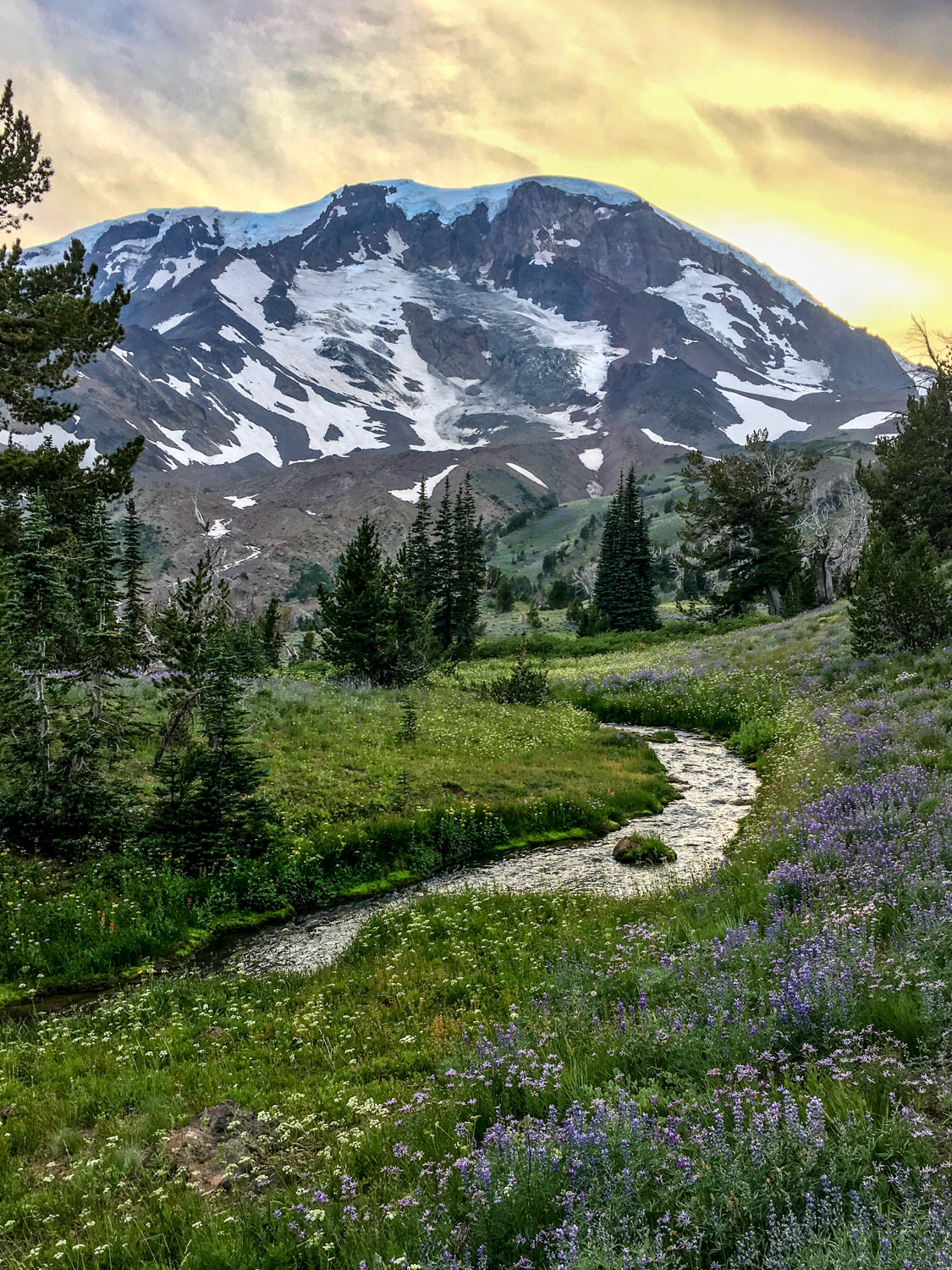 Mount Adams Backpacking Guid