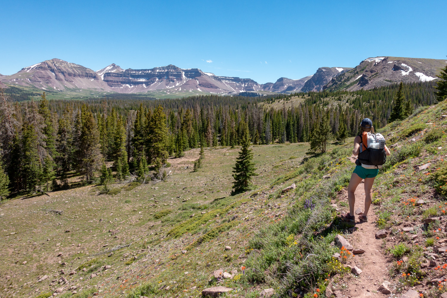 Henry s Fork Lake Loop Uintas Backpacking Guide CleverHiker