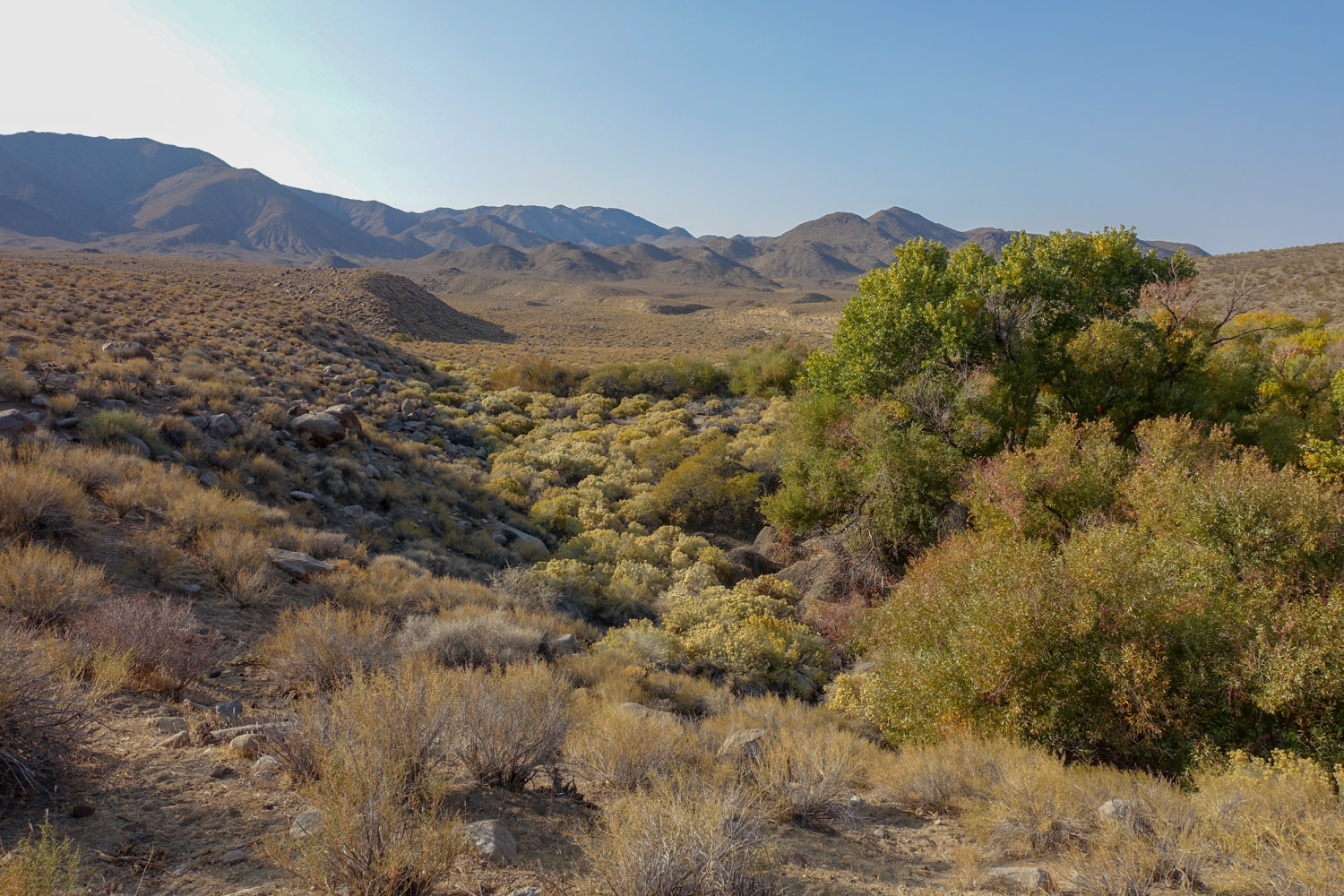 death valley hiking trips