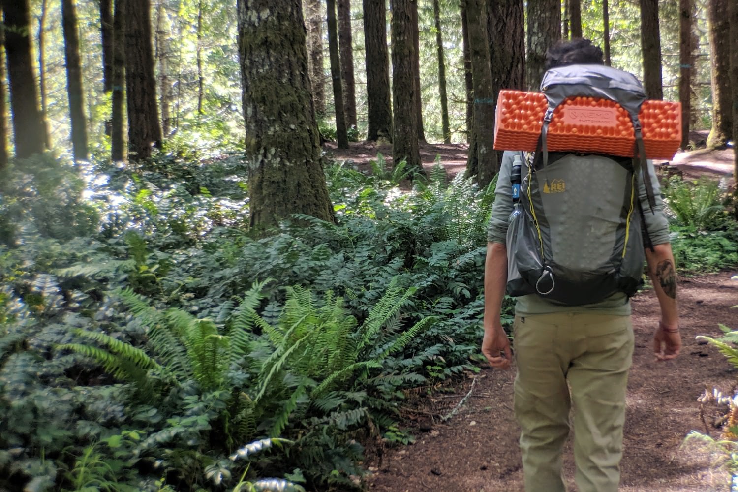 the REI Co-op Flash 55 is an excellent new budget pack.