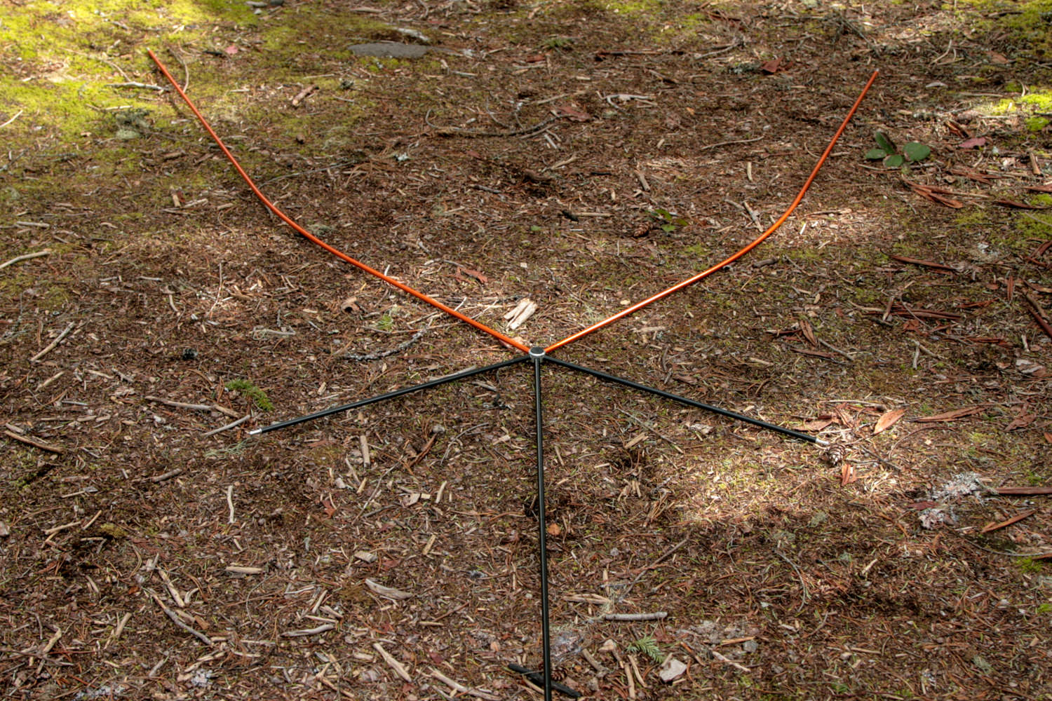REI Quarter DOme SL2-20.jpg