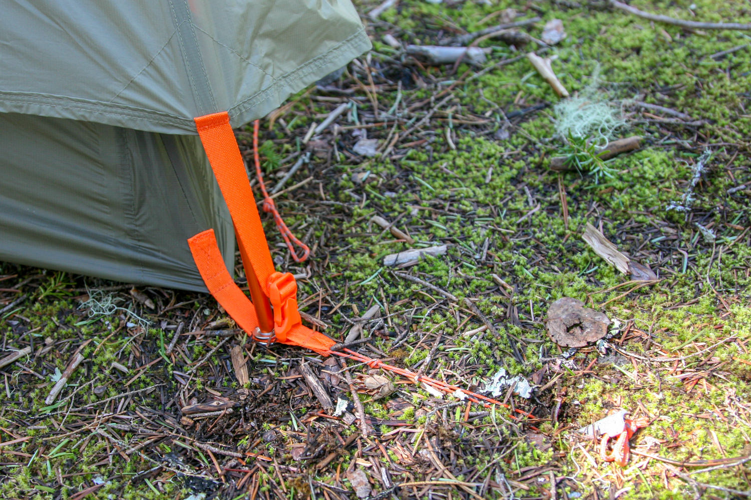REI Quarter DOme SL2-58.jpg