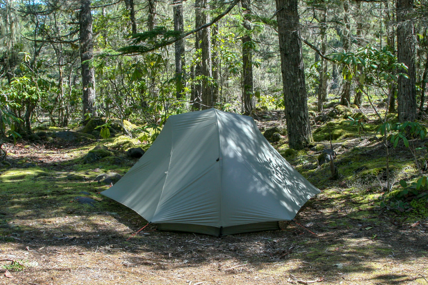 REI Quarter DOme SL2-62.jpg