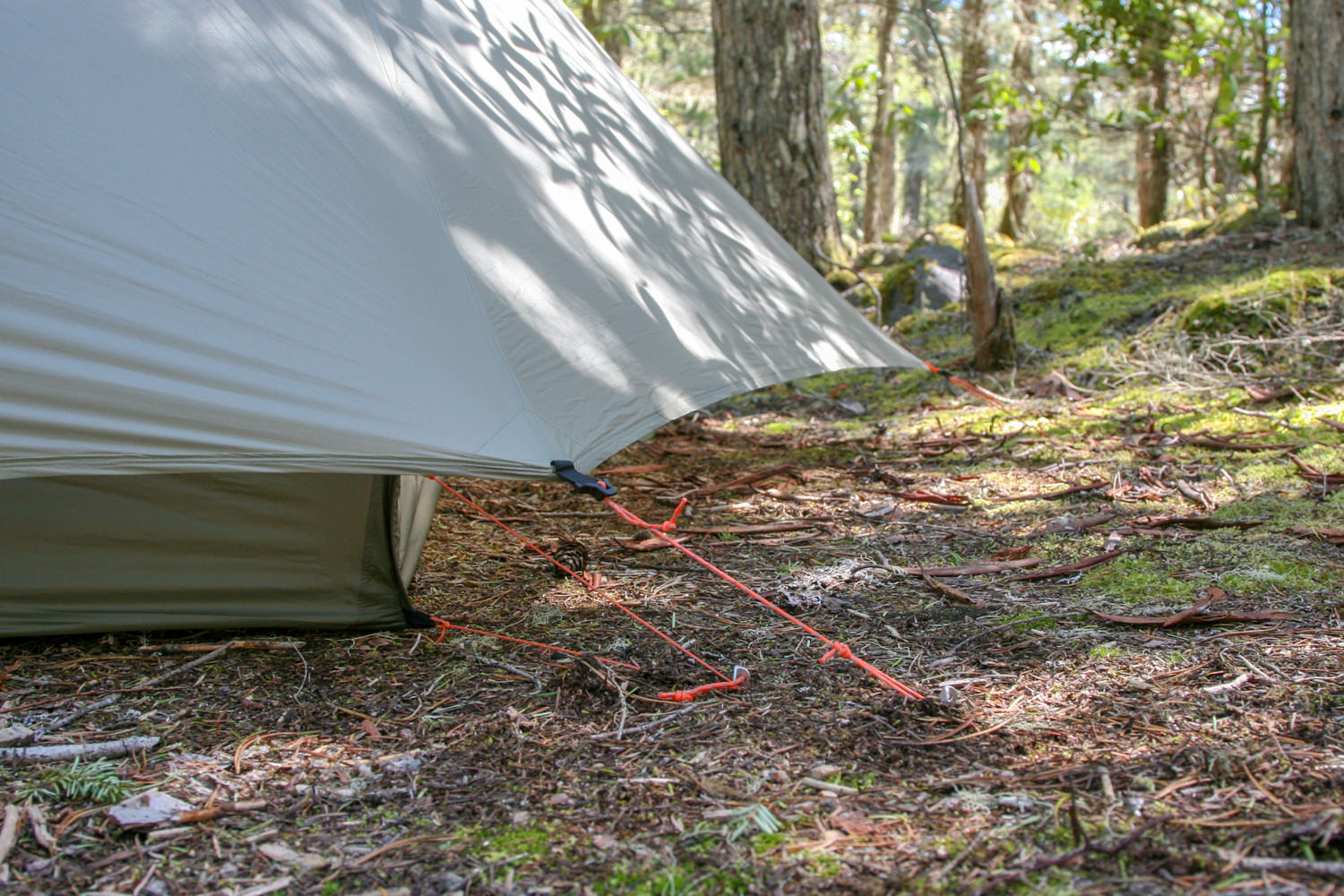 REI Quarter DOme SL2-66.jpg