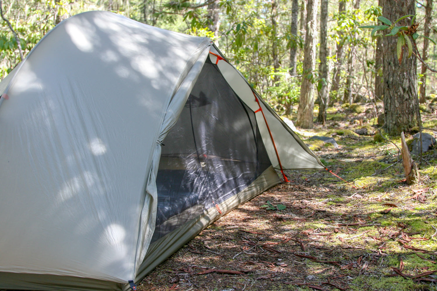 REI Quarter DOme SL2-79.jpg