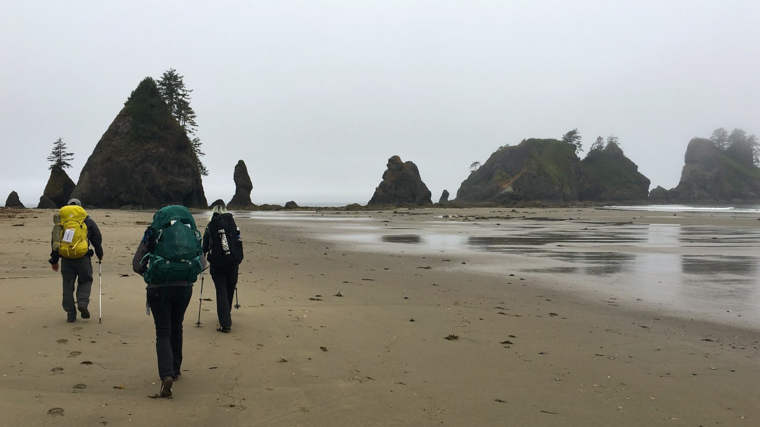 Olympic national park coast clearance backpacking