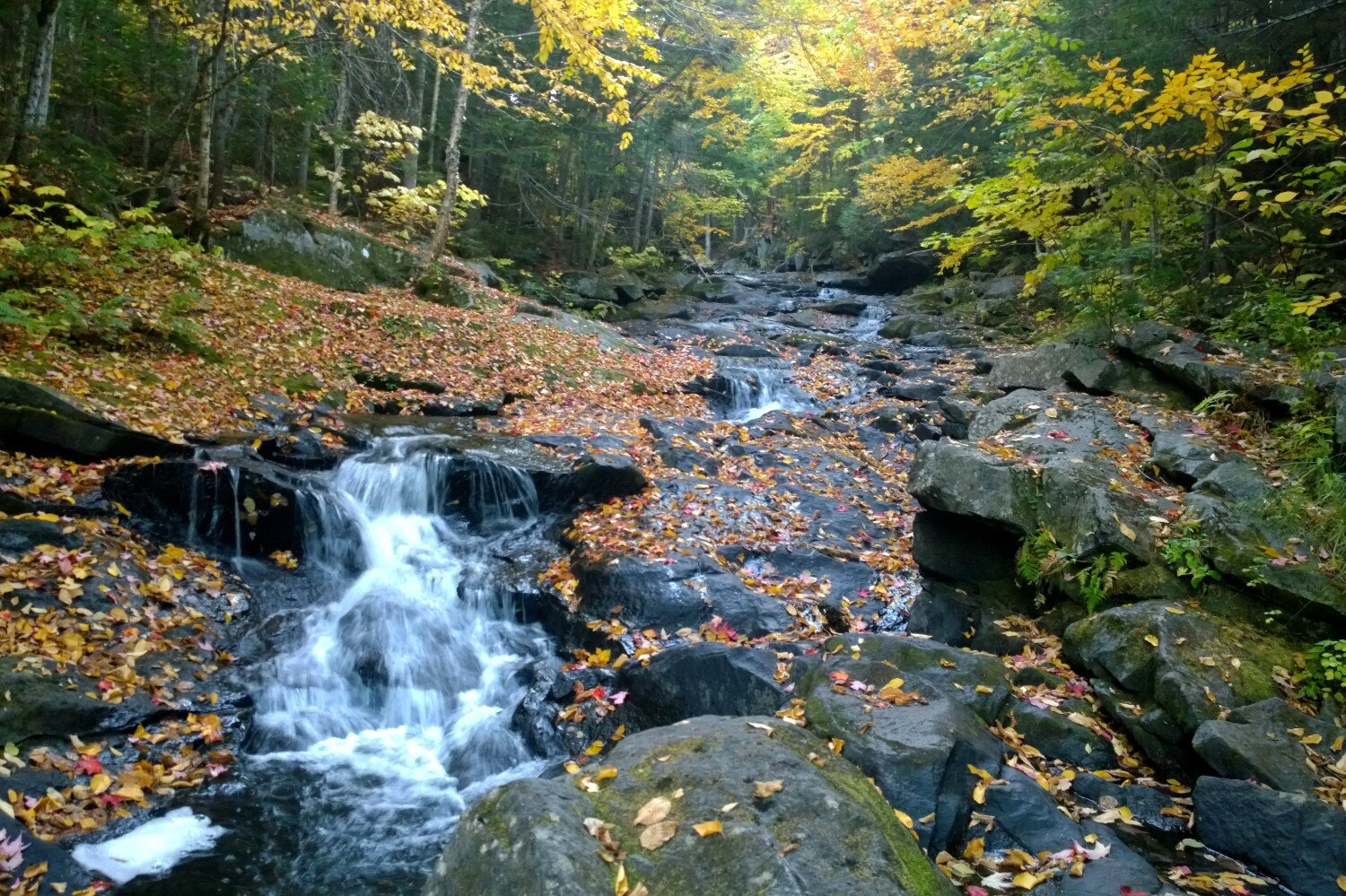 Small cascade in Maine’s 100 Mile Wilderness - the longest stretch of the AT without a resupply point.