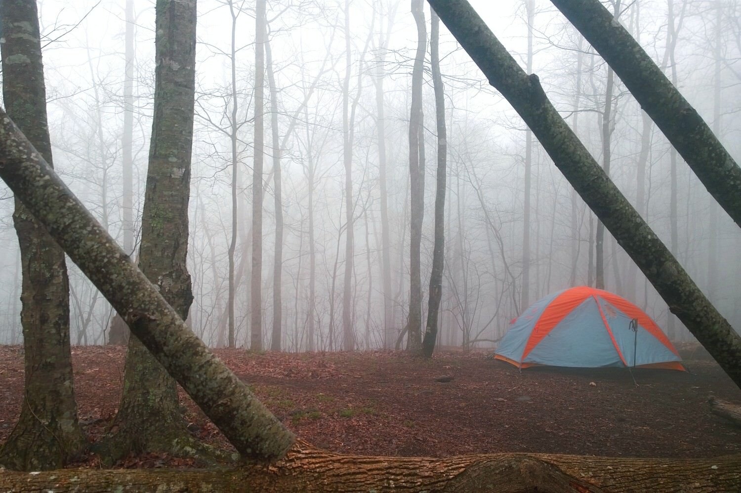 Campsite at blue mountain shelter in Georgia.