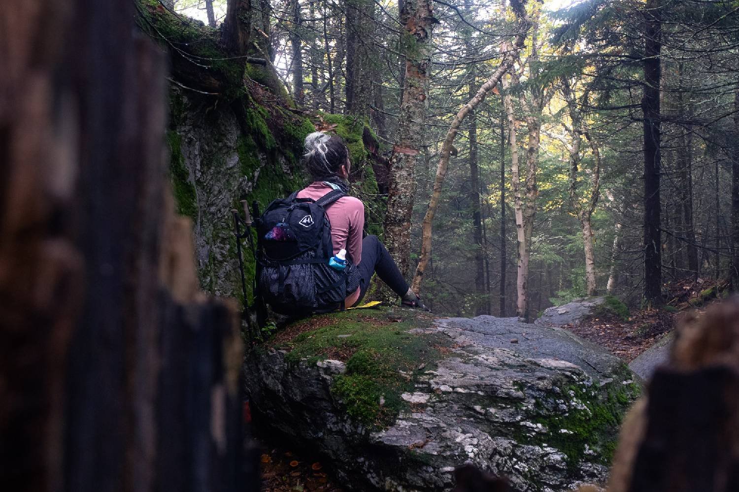 A hiker sitting on a boulder in a dense forest