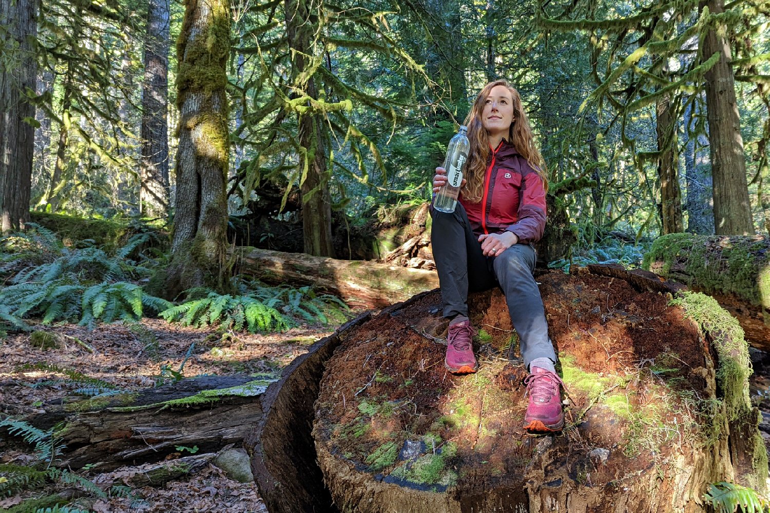 A hiker holding a Smartwater bottle while sitting on a giant old-growth tree stump in the mossy woods