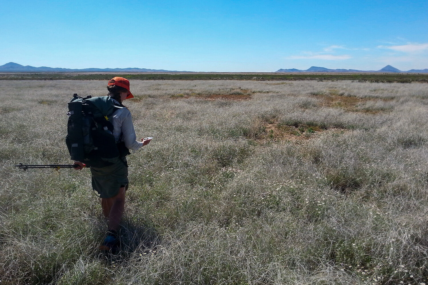 Navigating cross-country with a compass in a sparsely-blazed section in New Mexico