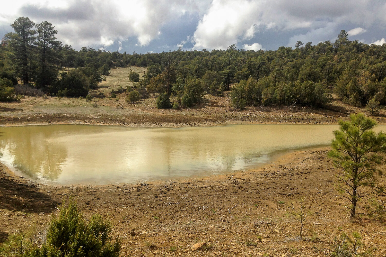 A muddy pond called a 'tank' - common water sources in parts of New mexico and Wyoming