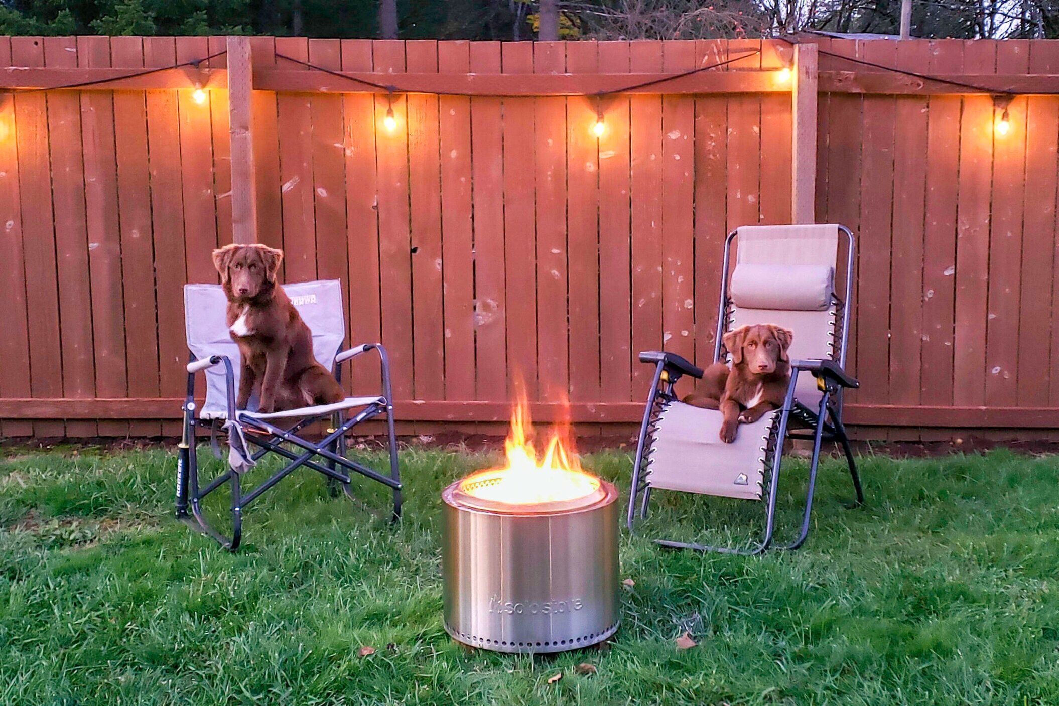 Solo Stove Review - A Portable Bonfire – Two Paws Farmhouse