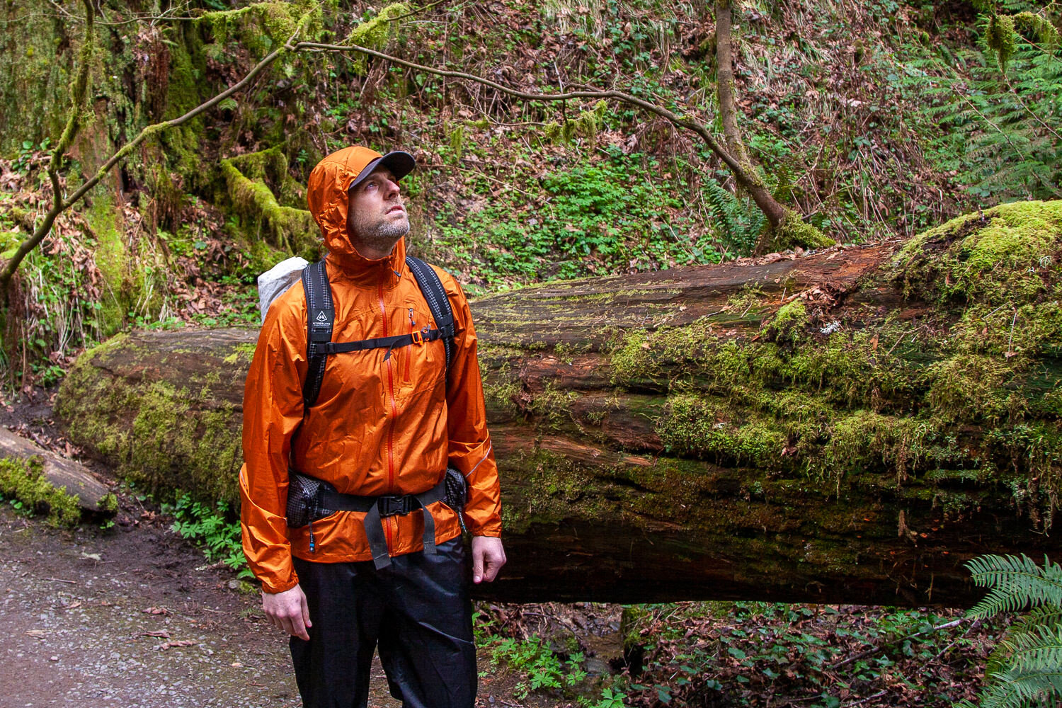 The Outdoor Research Helium II is a highly packable ultralight rain jacket.