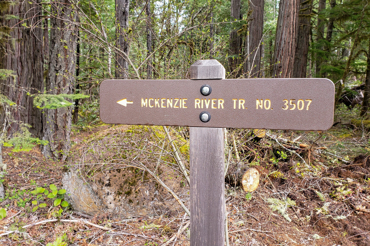 The McKenzie River Trail is very well maintained & it has excellent signage that’s easy to follow.