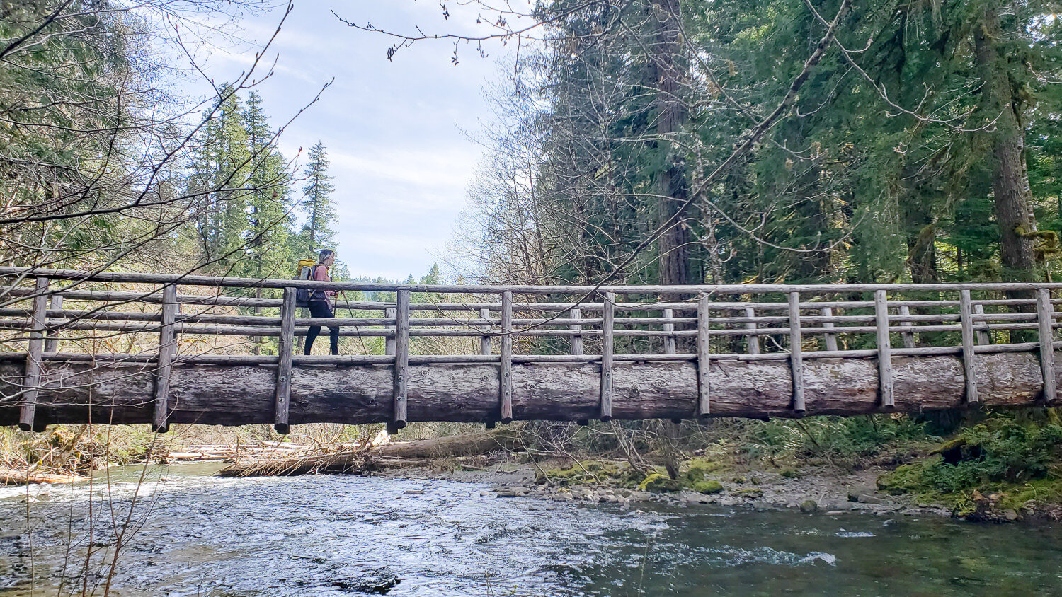 The McKenzie River Trail is a bridge lovers paradise - check out this giant, hand-hewn beauty!