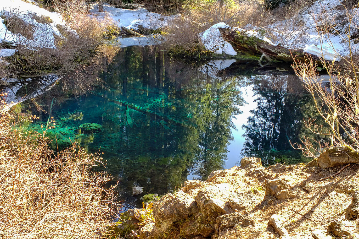 The MRT wanders past jaw-dropping crystal-clear blue waters - The Great Spring above is the source of the McKenzie R.