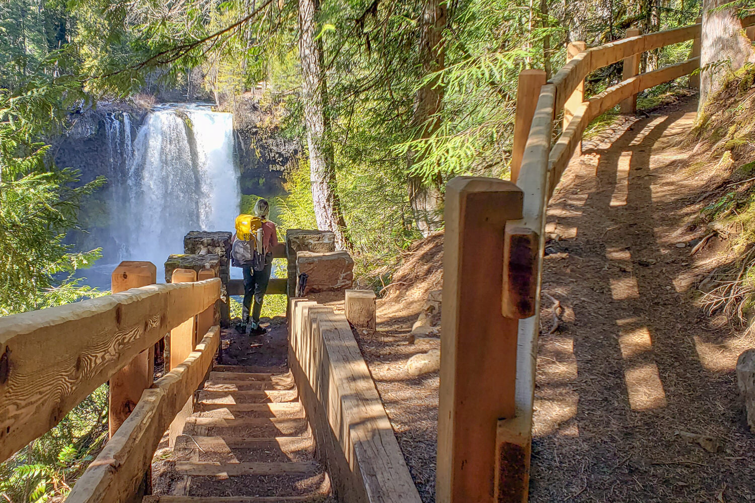 These areas can be crowded, but don’t miss the impressive Sahalie, Koosah, & tamolitch falls (blue pool) along the MRT.