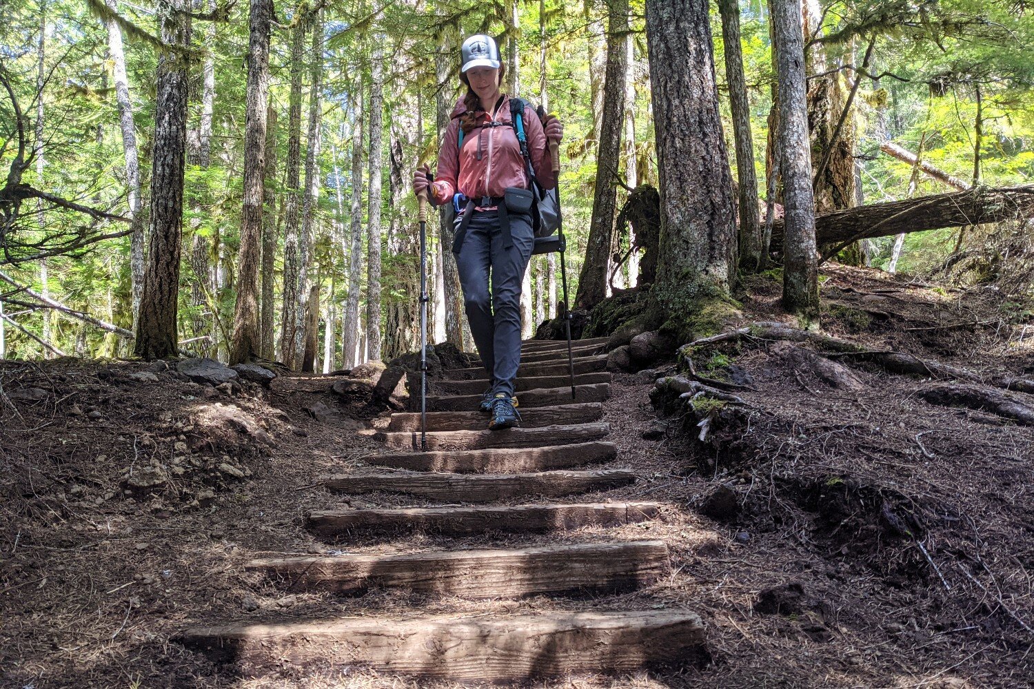 We consider the MRT to be an easy hike, but there are some stairs, bridges, & obstacles to navigate.