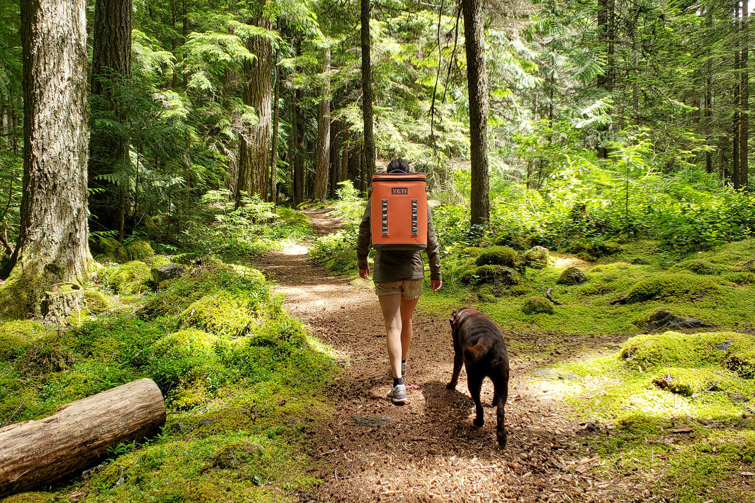 The YETI Hopper Backflip cooler is perfect for toting drinks and a picnic on short hikes, so it’s a great way item to use your 20% coupon on