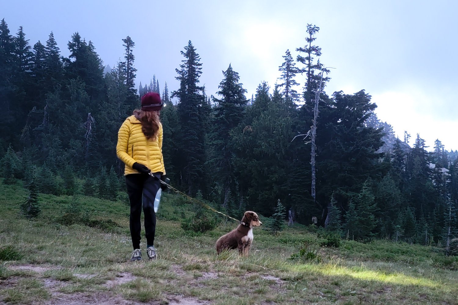 A hiker wearing a headlamp walking a dog on a trail at sunset