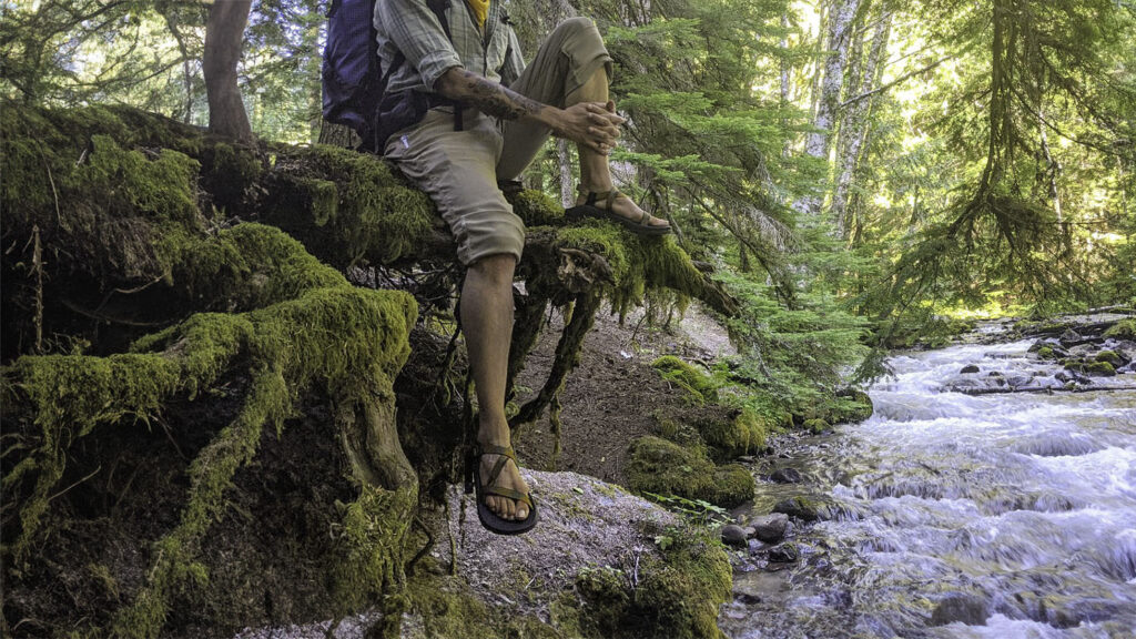 A hiker in the Chaco Z/1 Classic sandals resting on mossy tree roots overhanging a creek