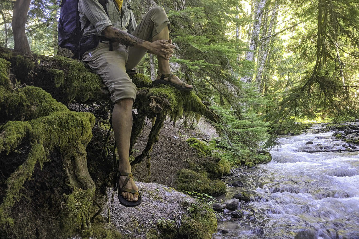 A hiker in the Chaco Z/1 Classic sandals resting on mossy tree roots overhanging a creek