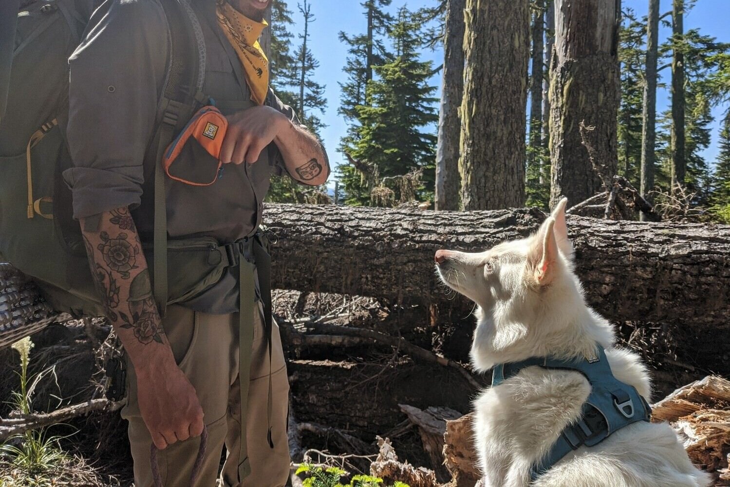 Be sure to bring lots of training treats on the trail; we like to carry them in the Ruffwear Stash bag for convenience