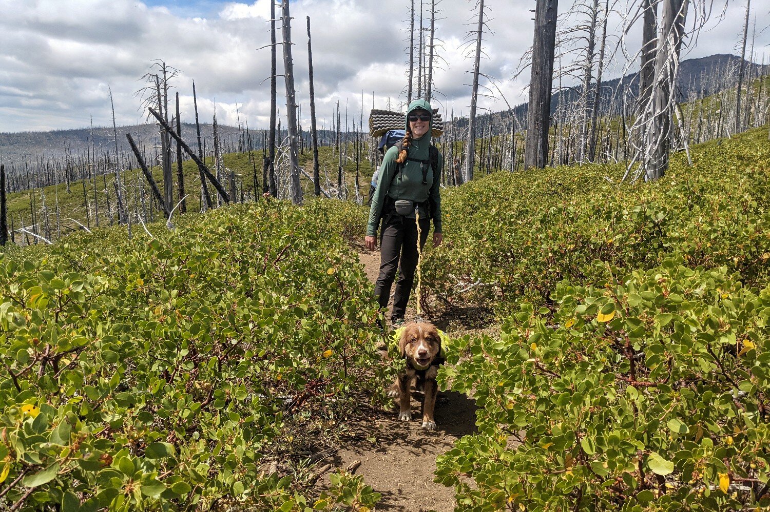 Keep your dog on leash where it’s required or if there’s a lot of wildlife or steep drop offs nearby